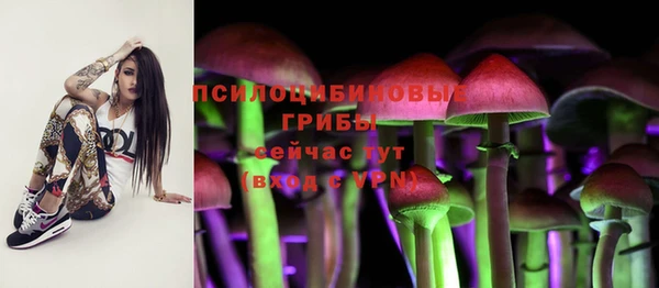 крисы Алексеевка