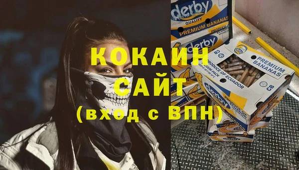 сатива Алзамай