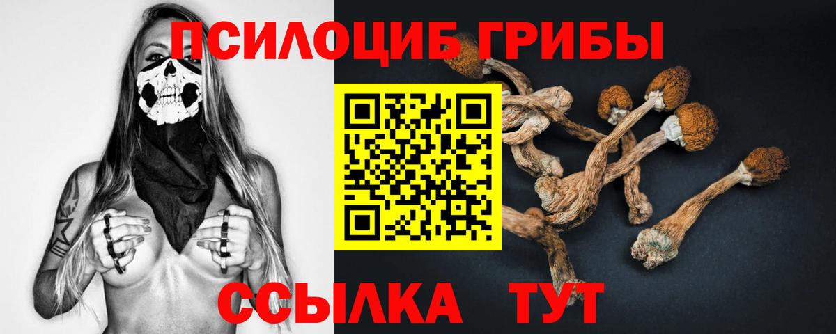 Галлюциногенные грибы ЛСД  Вход с VPN  купить закладку  Ейск  Галлюциногенные грибы мицелий 